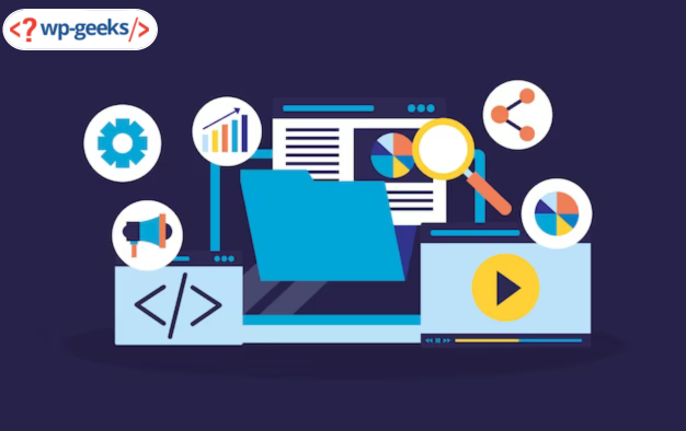 Professional Website With Custom Wordpress Plugin Development Services